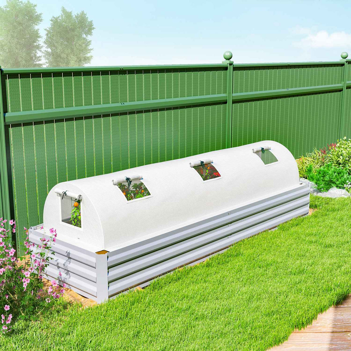 Greenhouse with roll-up window, round roof, winter-proof, foil greenhouse made of steel, water-repellent, greenhouse for balcony, tomato house with UV protection, 300 x 80 x 45 cm, tomato greenhouse for vegetables, green