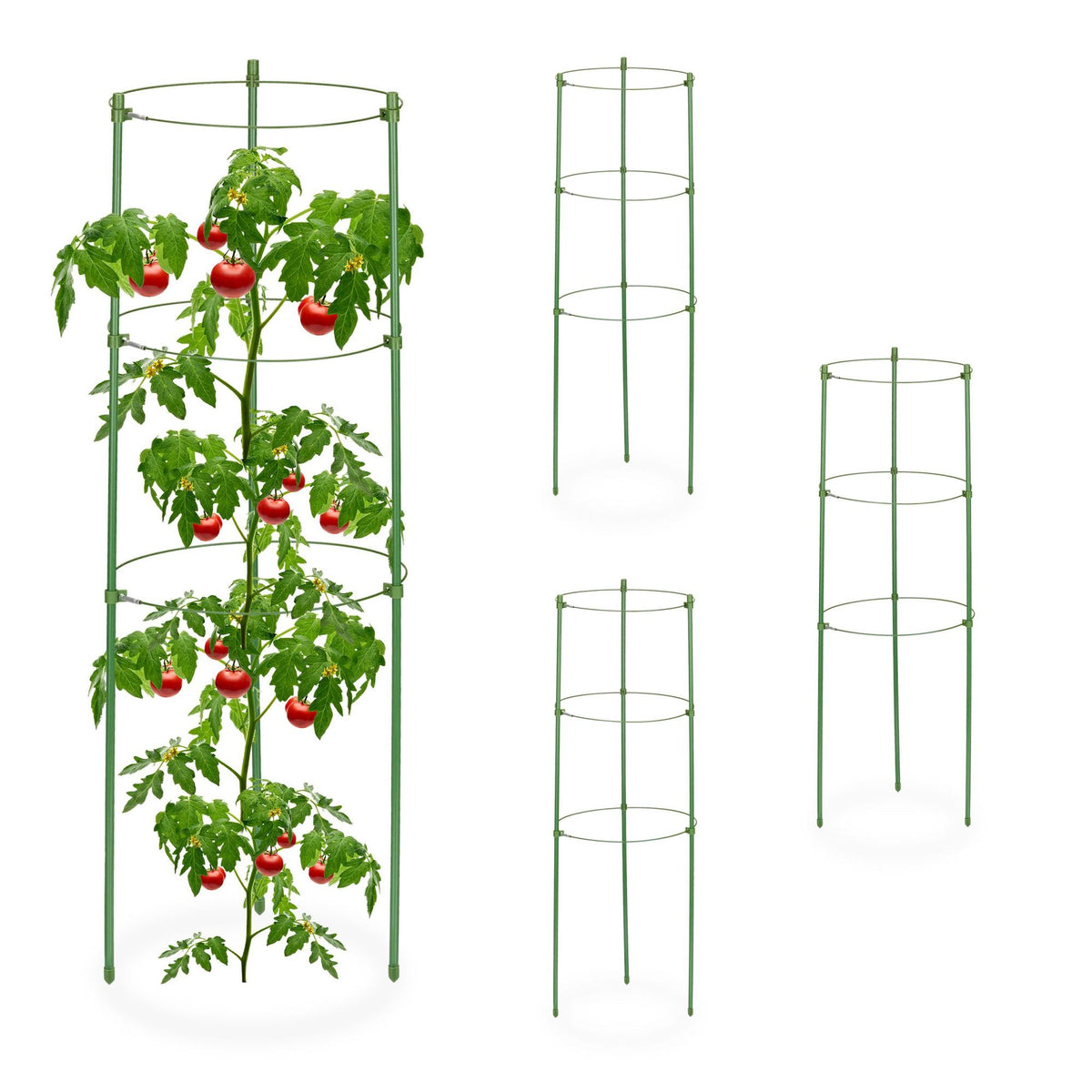 Green plant supports 60 cm, set of 4