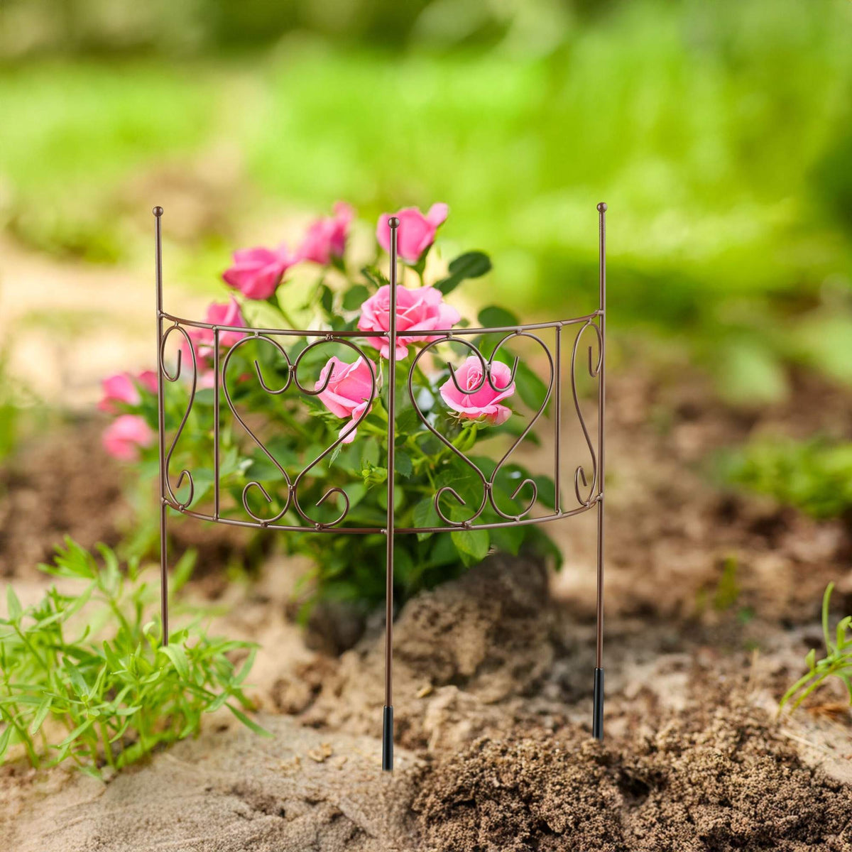 Half-Round Brown Steel Plant Support for Perennials