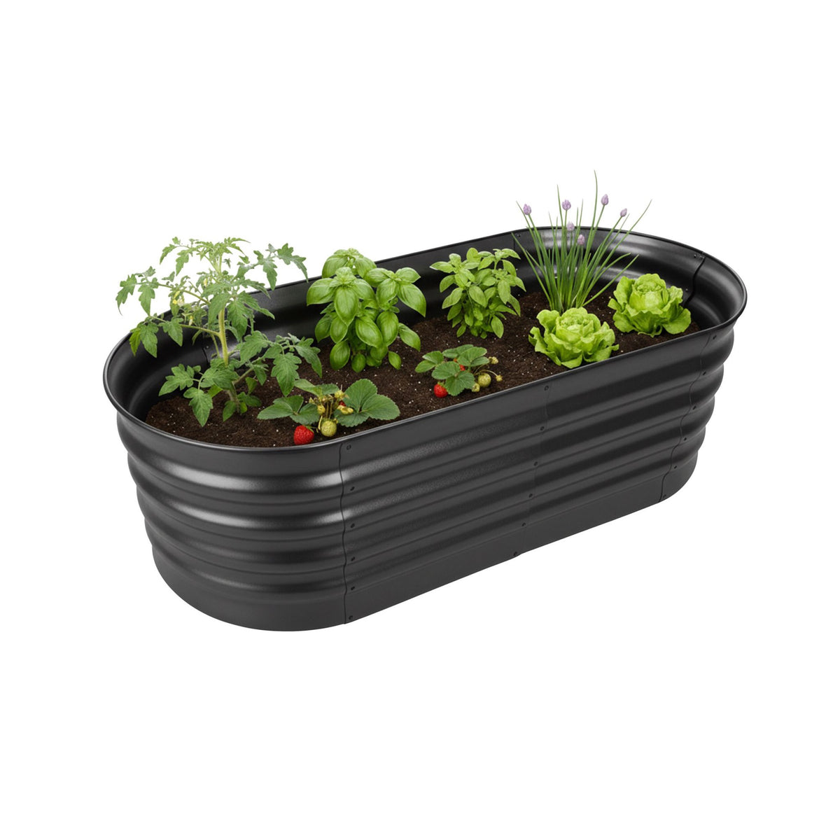 Half-Round Galvanized Metal Raised Garden Bed
