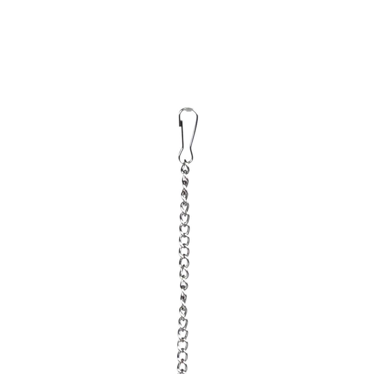 Hanging Heart-Shaped Rust Planter with Chain