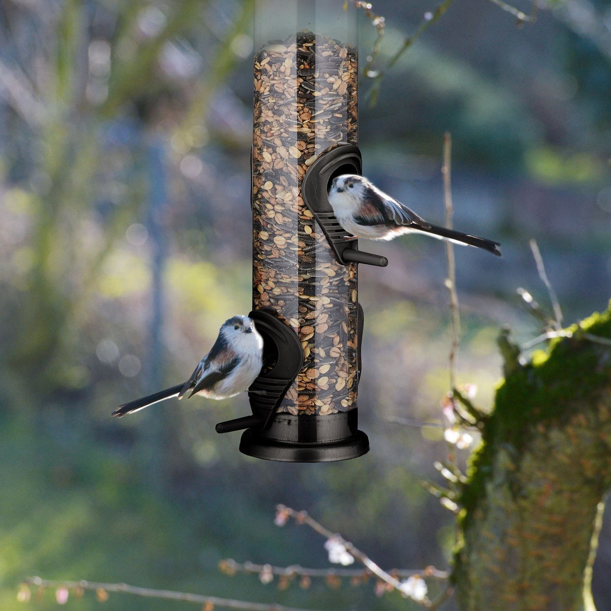 Hanging bird feeder