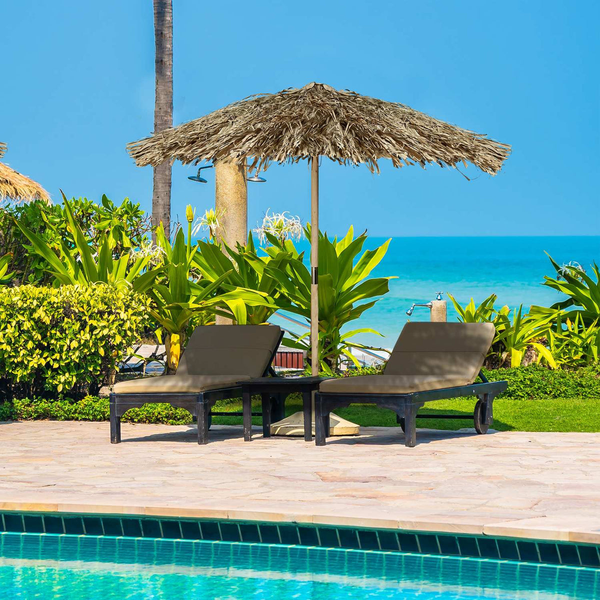 Hawaiian parasol