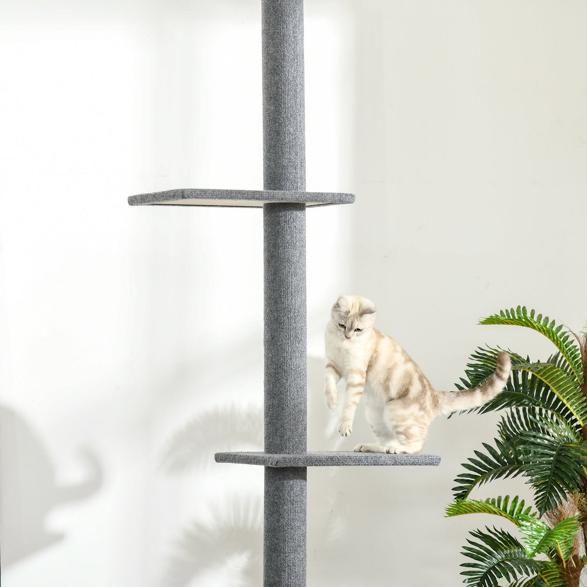 Height-Adjustable Scratching Post Climbing Tree For Cats, Play Tree, Gray, 43X27X228-260Cm