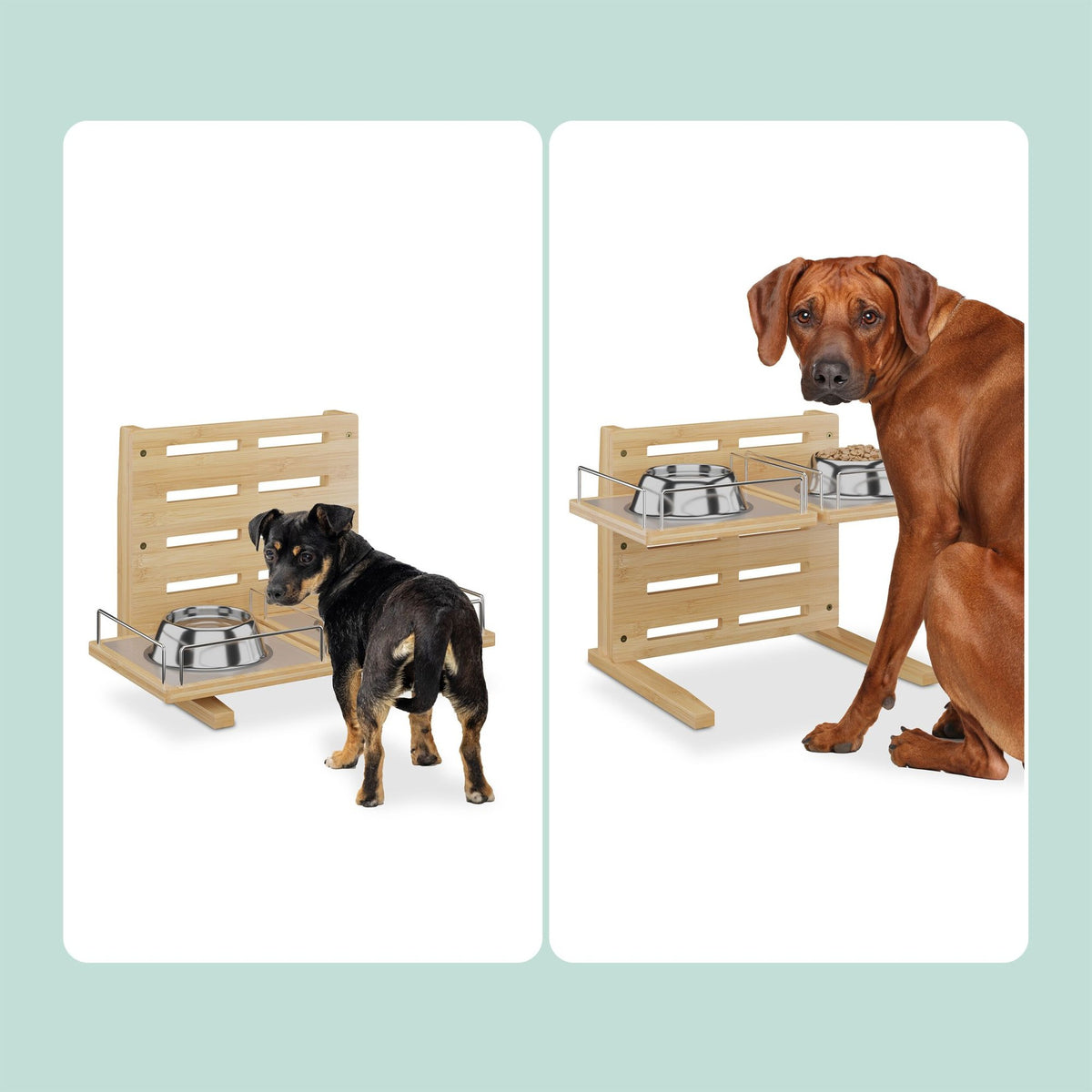 Height-adjustable feeding station for dogs