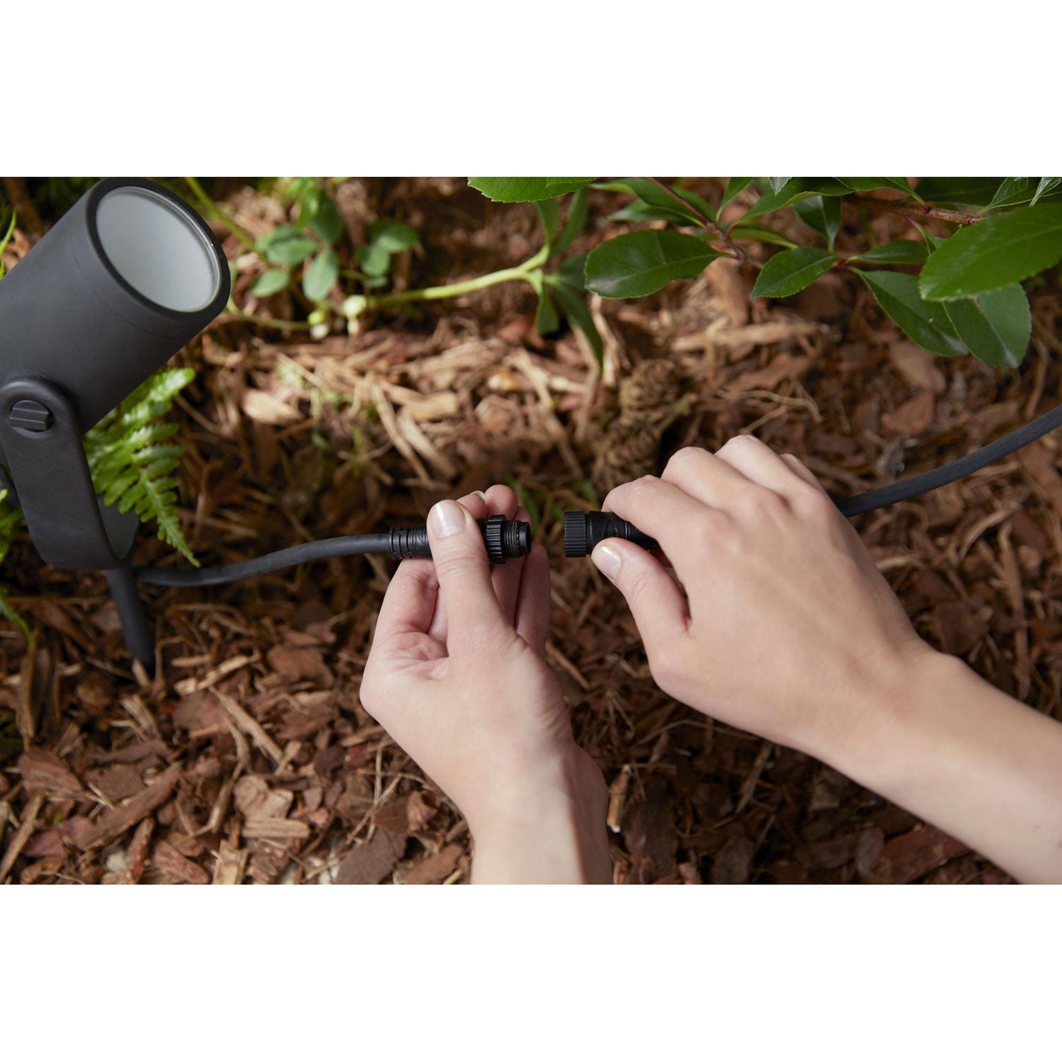 Hue Lily Wh/Color Ext. 24V