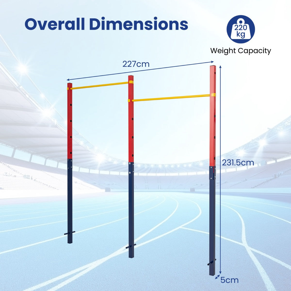 In-Ground Pull Up Bar, 5 Heights, 220 kg Capacity
