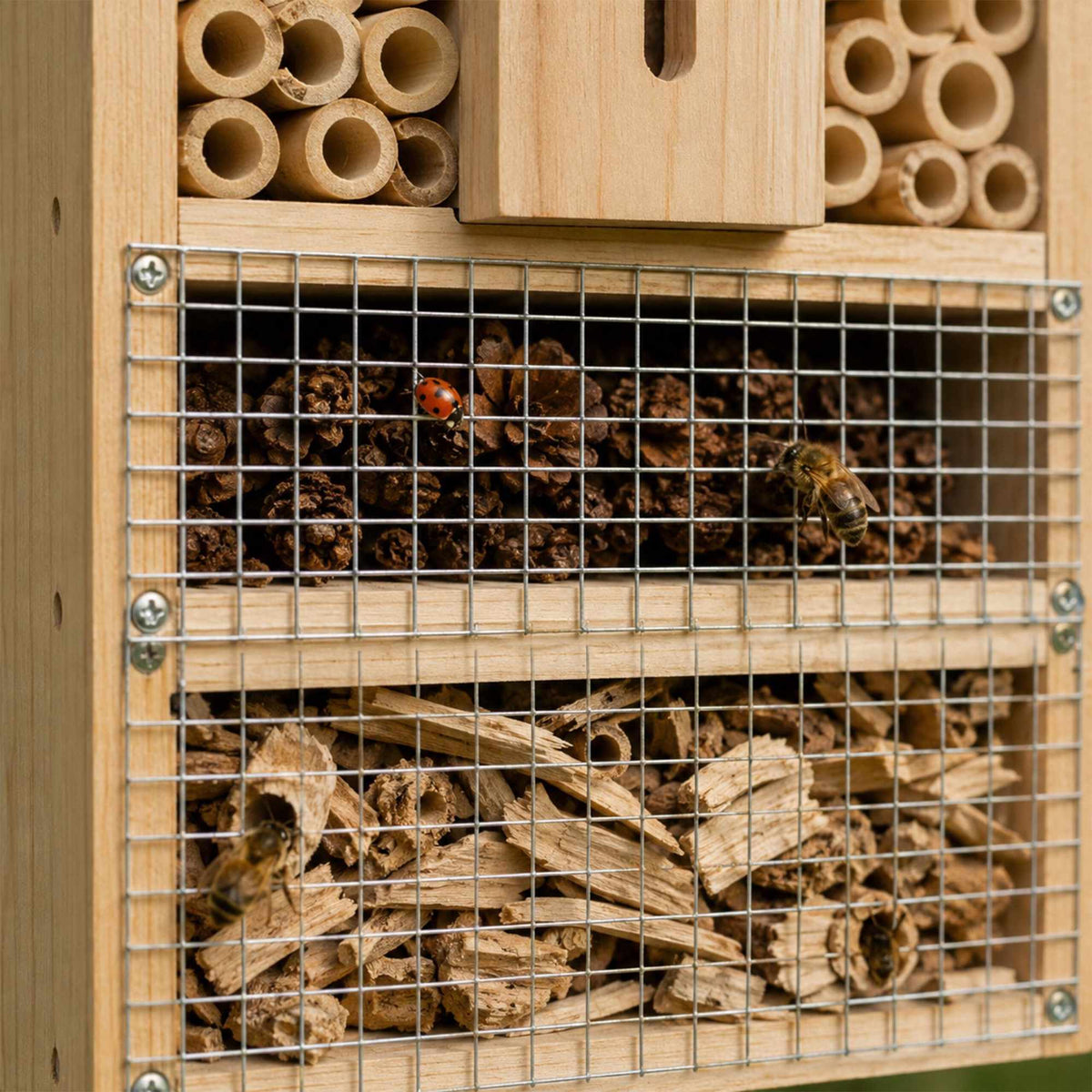 Insect Hotel Kit, 2-Pack, Fir Wood and Bamboo