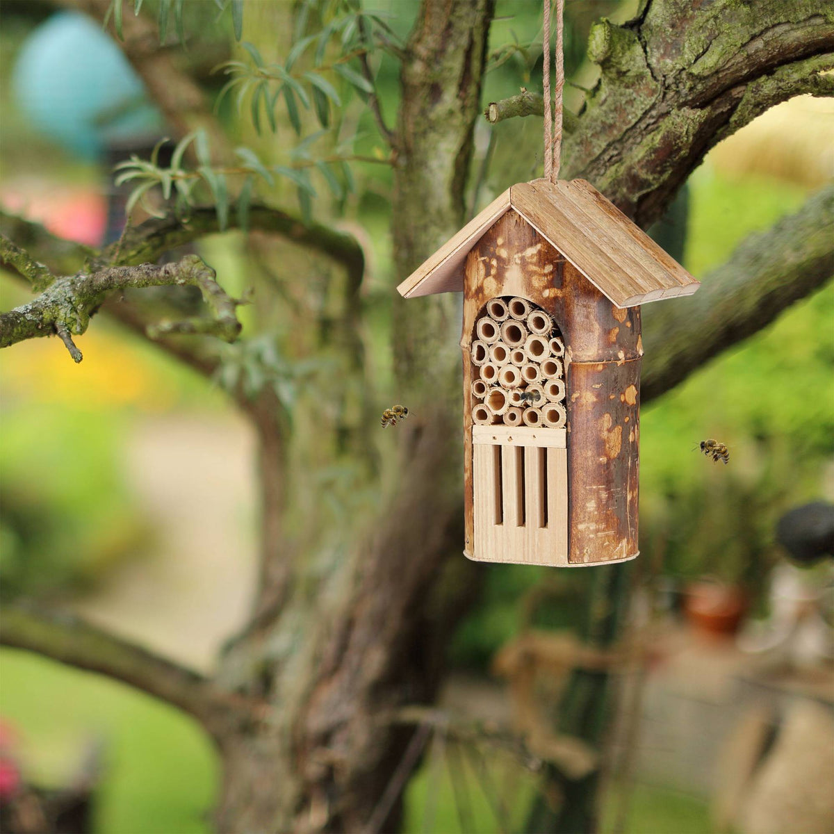 Insect Hotel for Bees & Butterflies