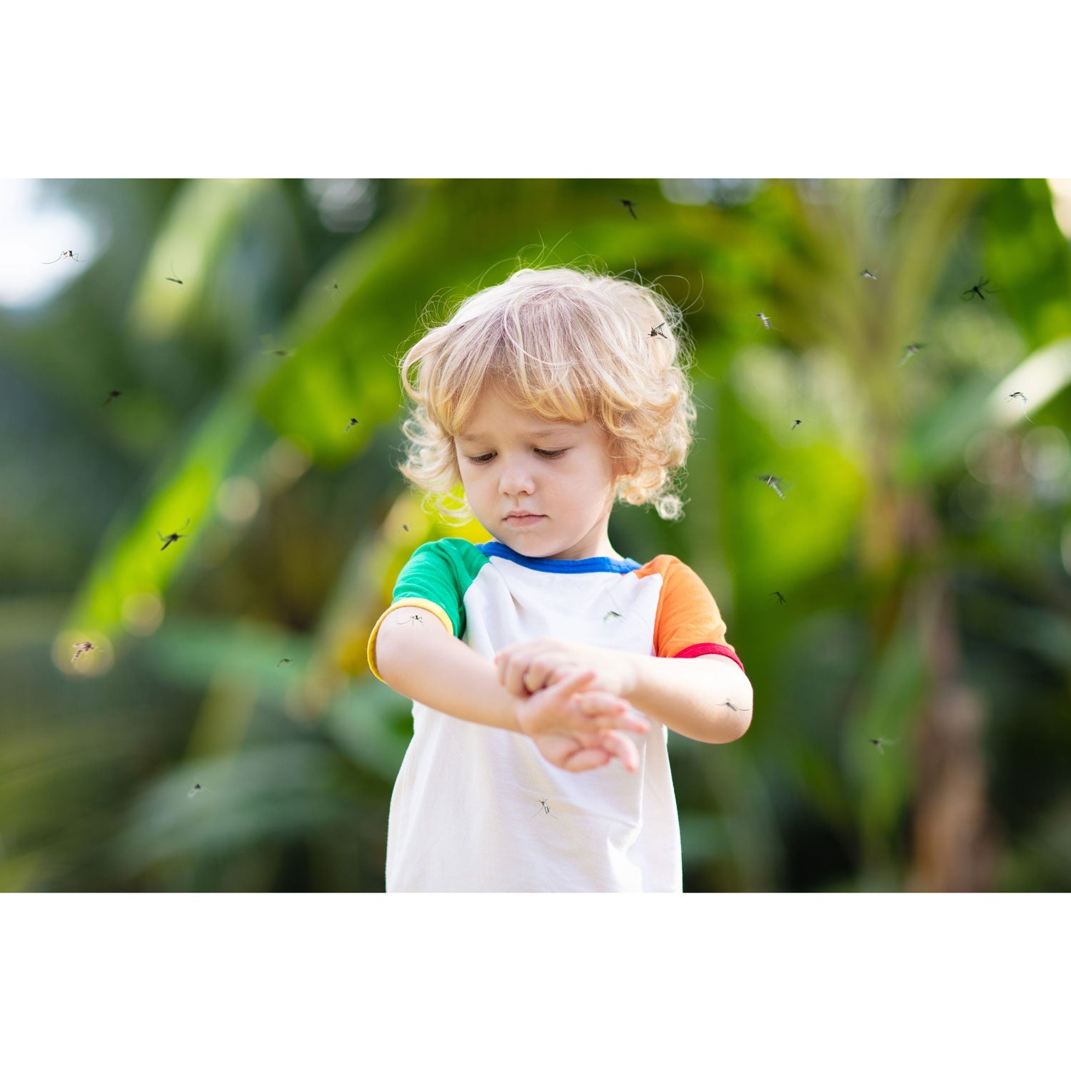 Insect bite reliever 2 programs