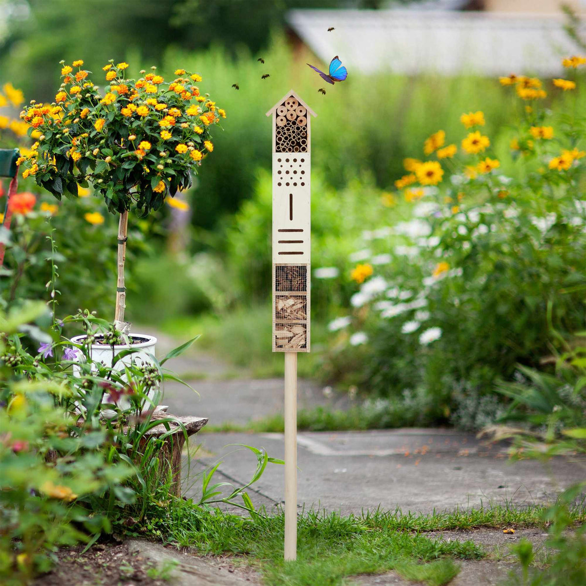 Insect hotel nature