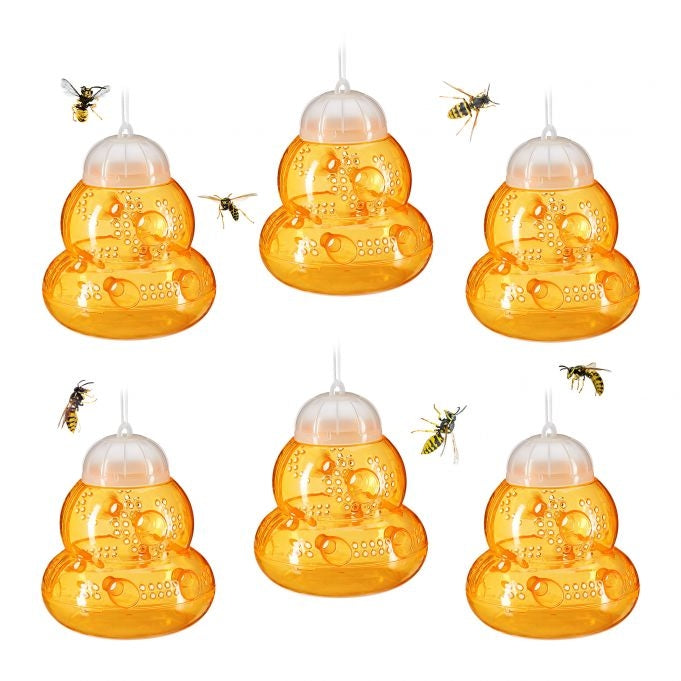 Insect trap 6 pcs