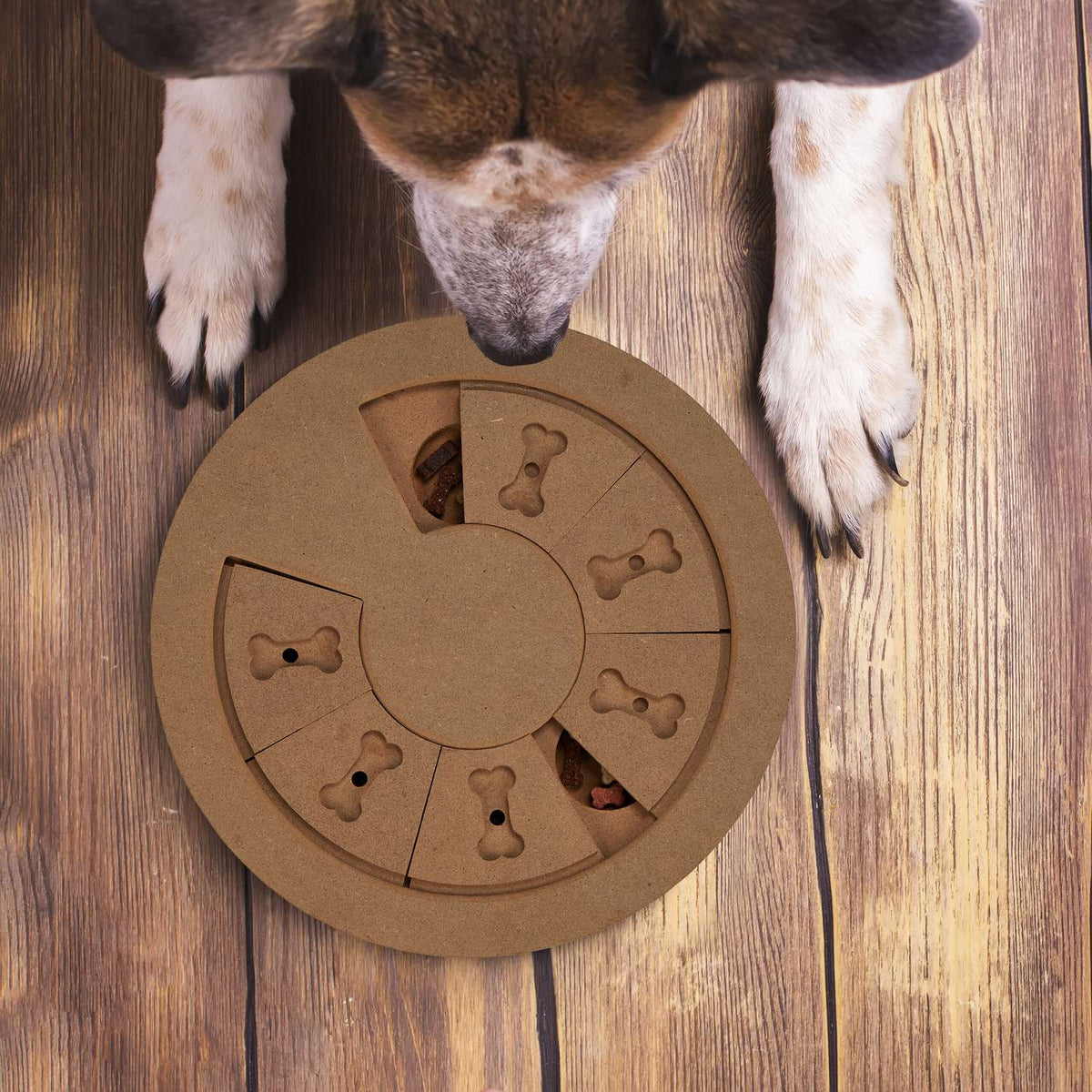 Intelligent toys for dogs