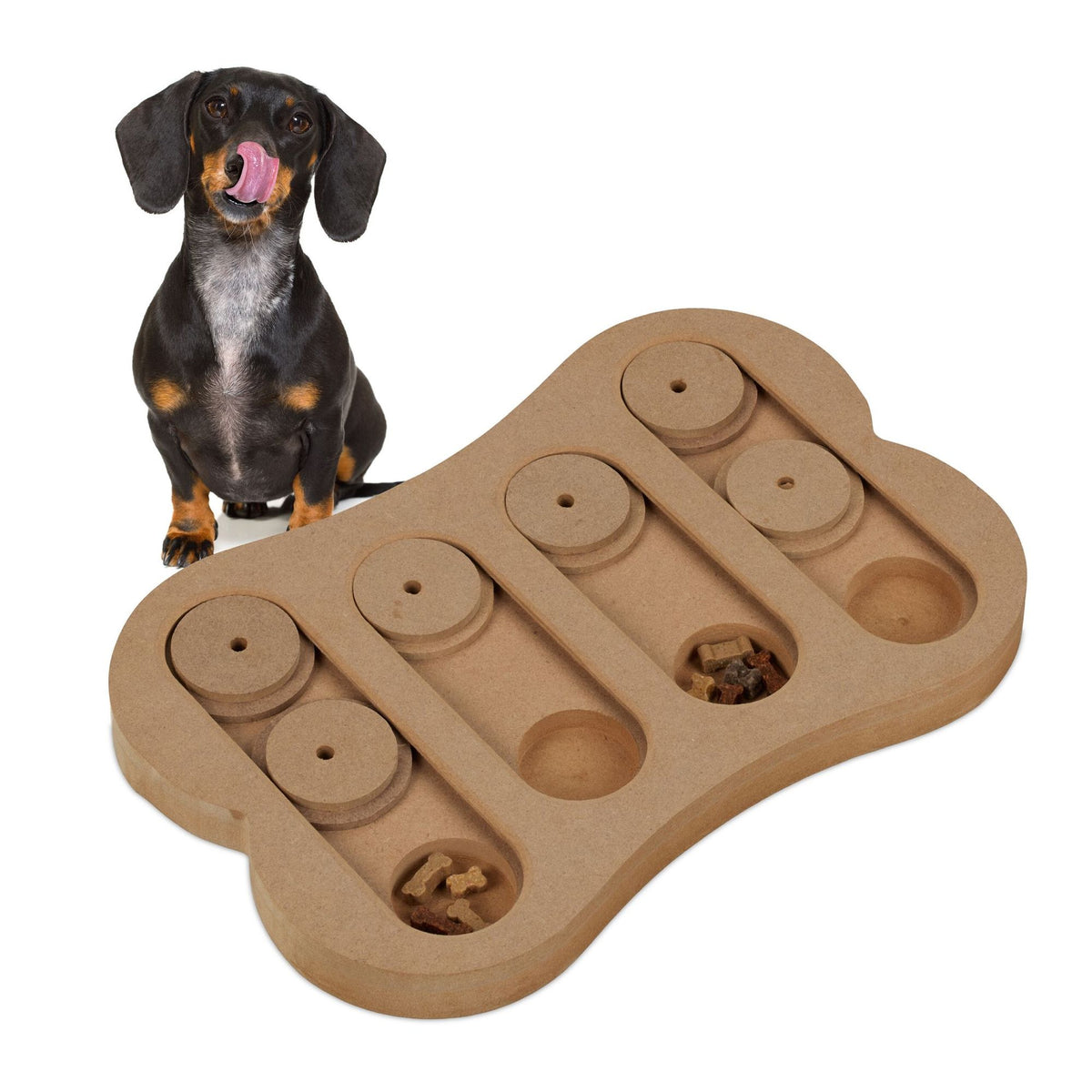 Intelligent toys for dogs