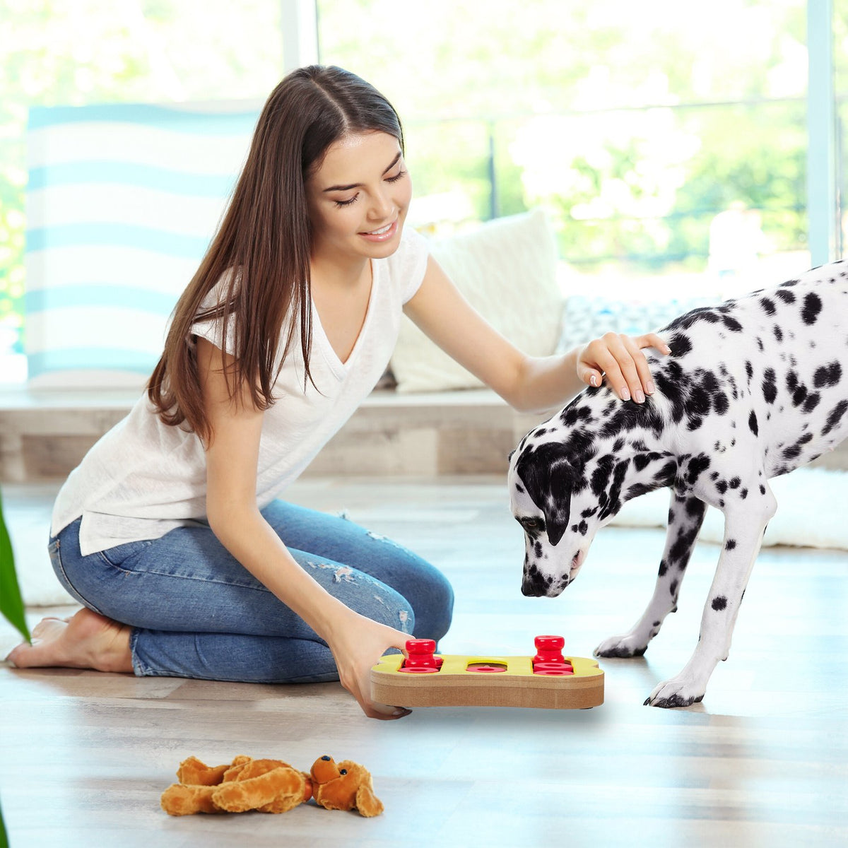 Intelligent toys for dogs