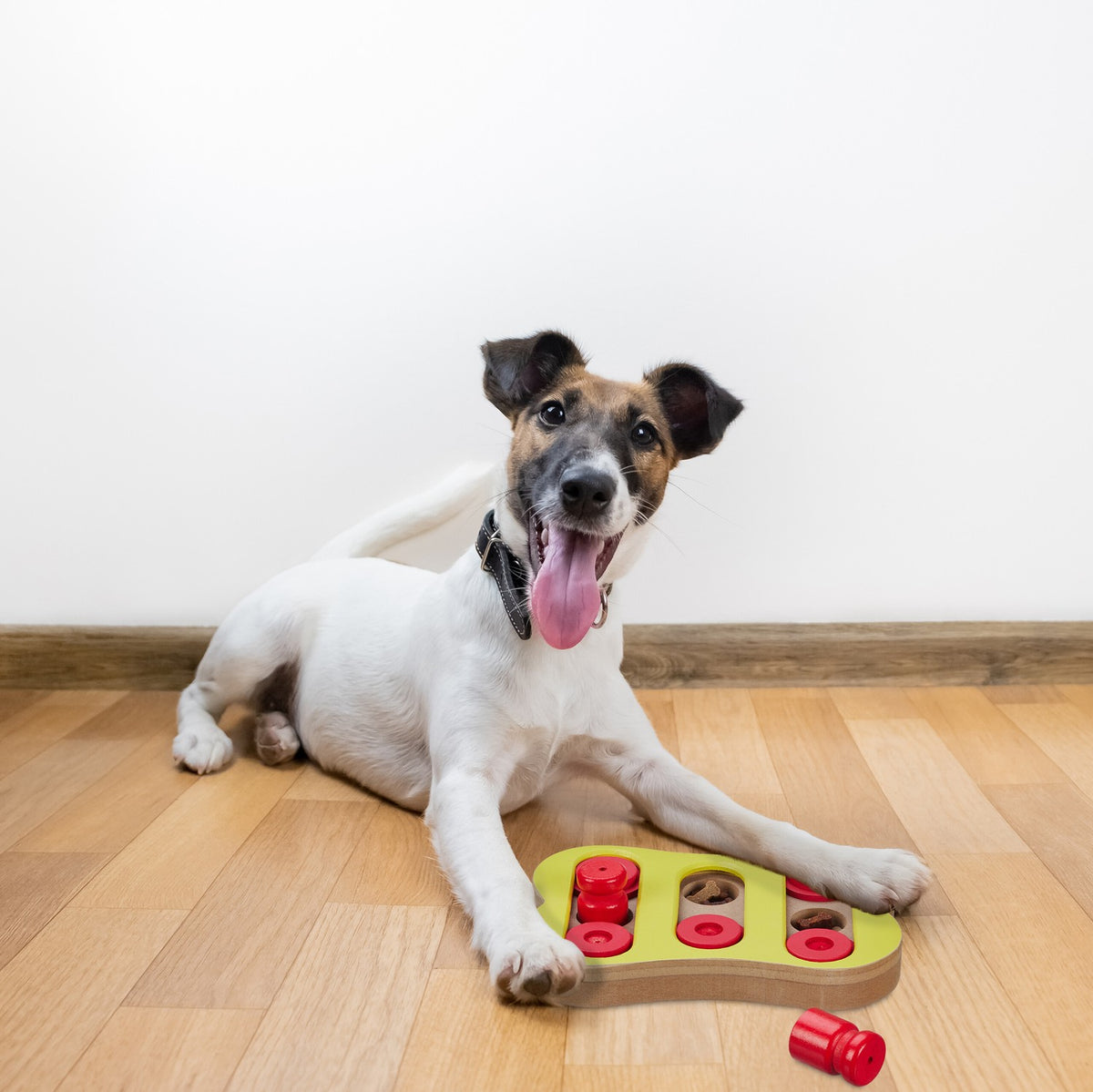 Intelligent toys for dogs