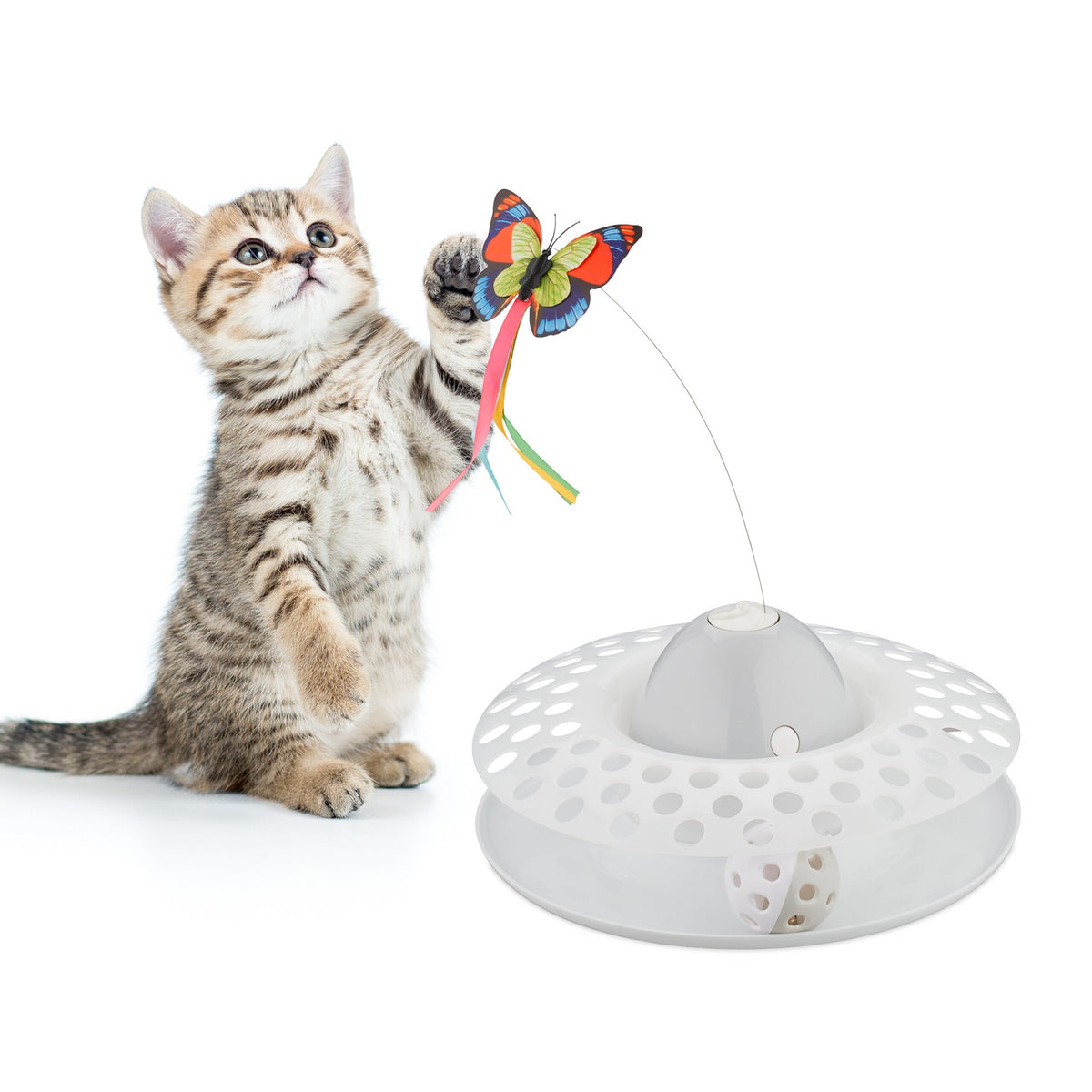 Interactive Cat Toy with Ball Track & Rotating Butterfly