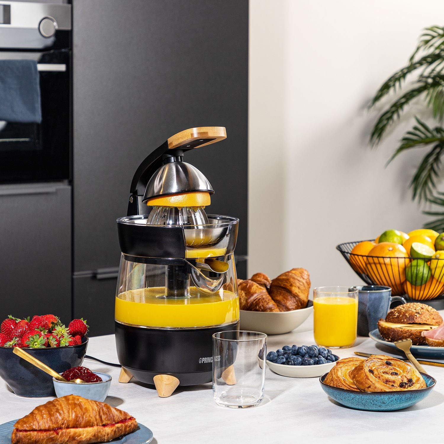 Juicer Luxurious own design 300W