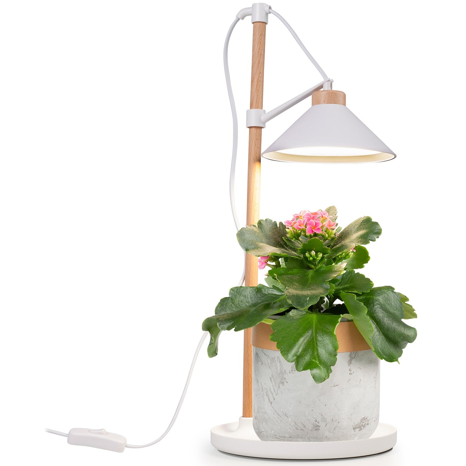 LED grow light