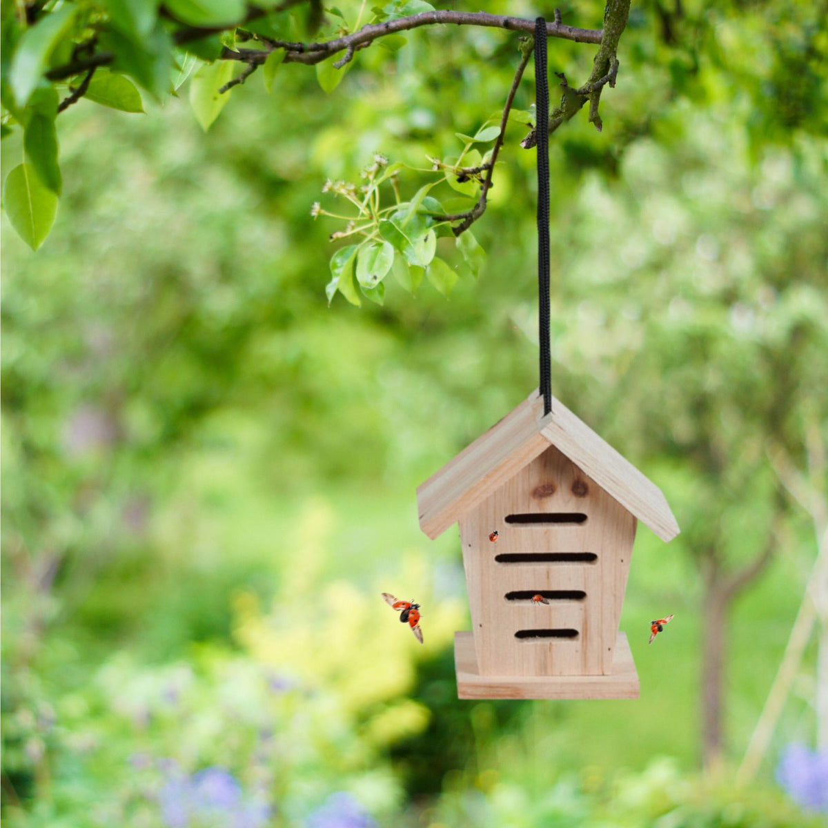 Ladybug house set of 2