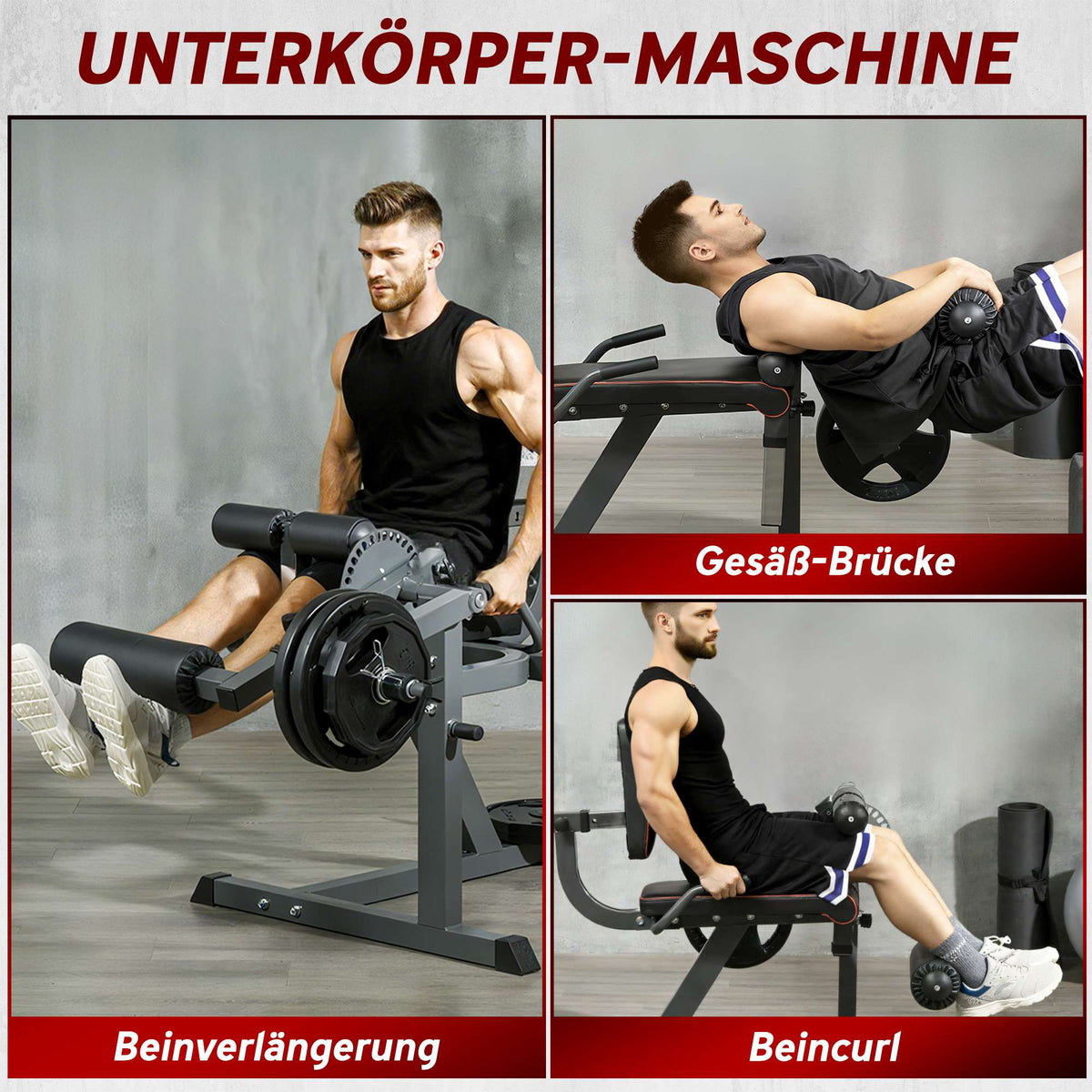 Leg Extension Machine, Adjustable Backrest & Thigh Support, Steel