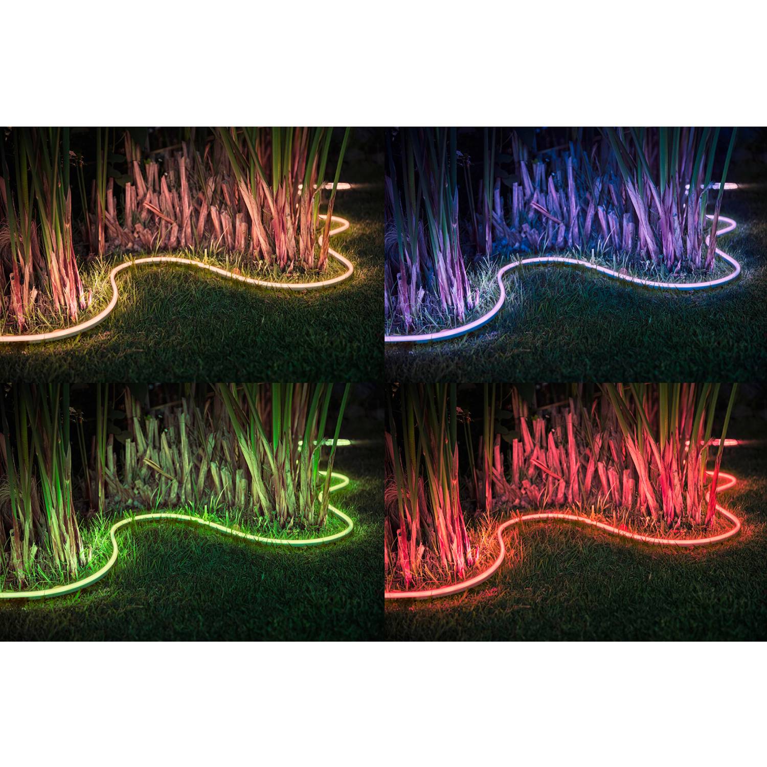 Lightstrip Outdoor 2m White and Color Ambiance