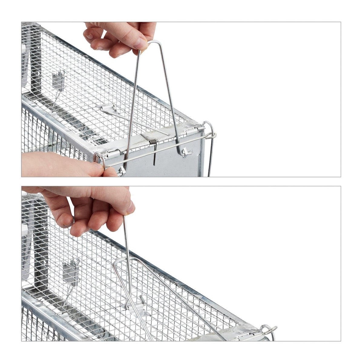 Live trap for mice and rats