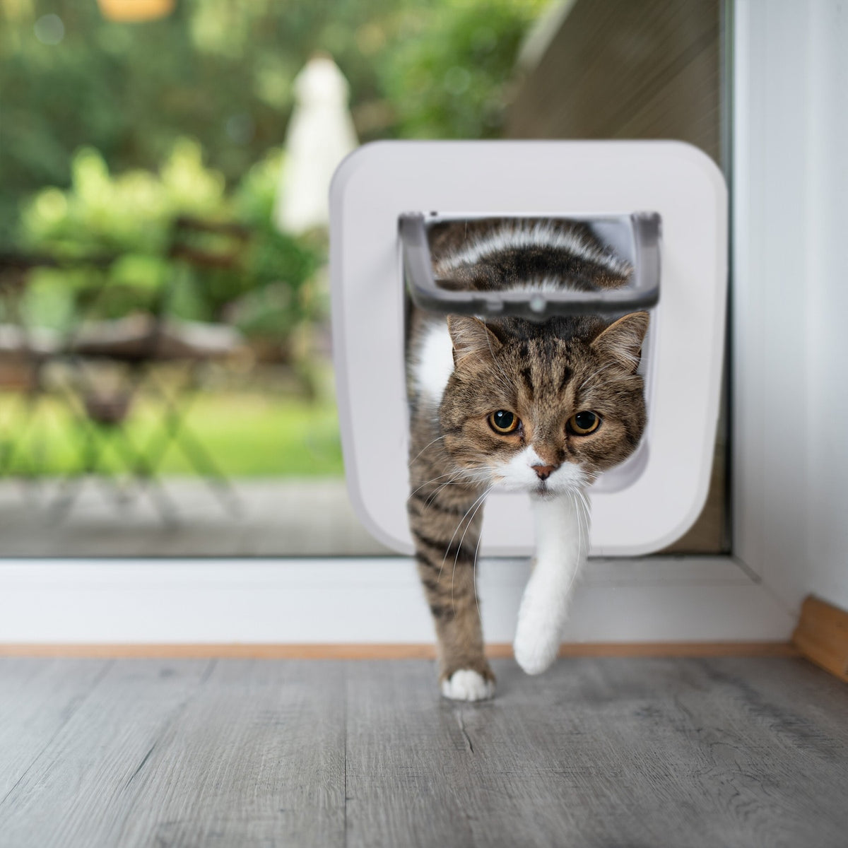 Lockable hatch for pets
