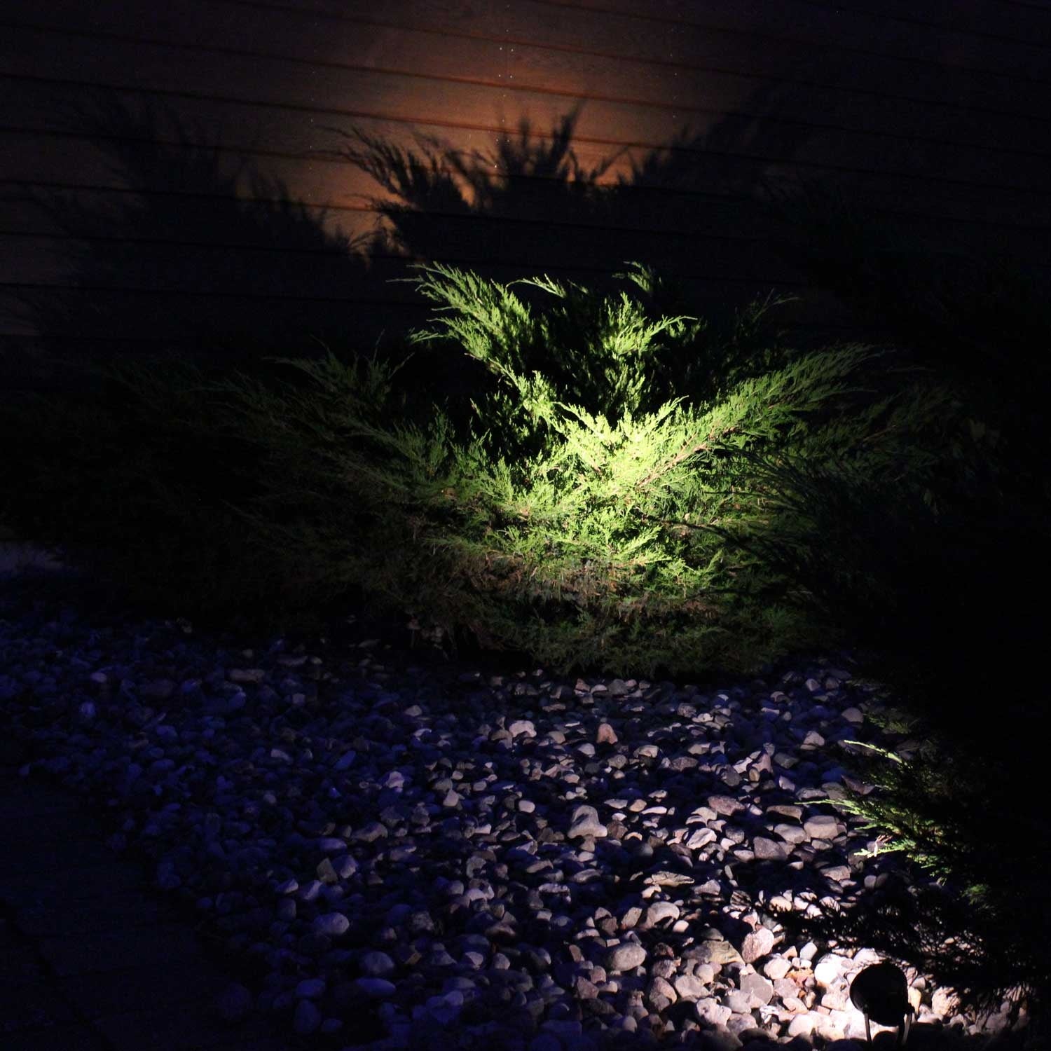 Luminus garden spot Black