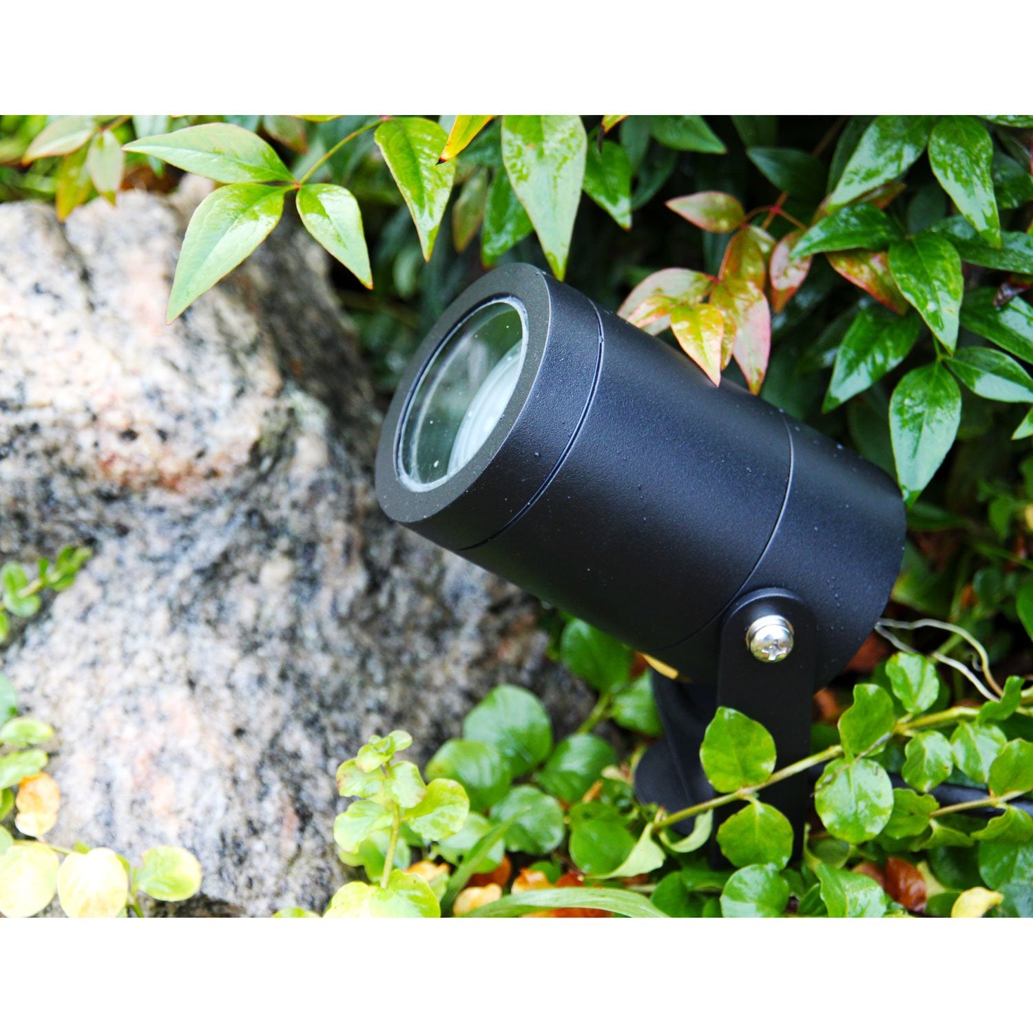 Luna garden spot Black