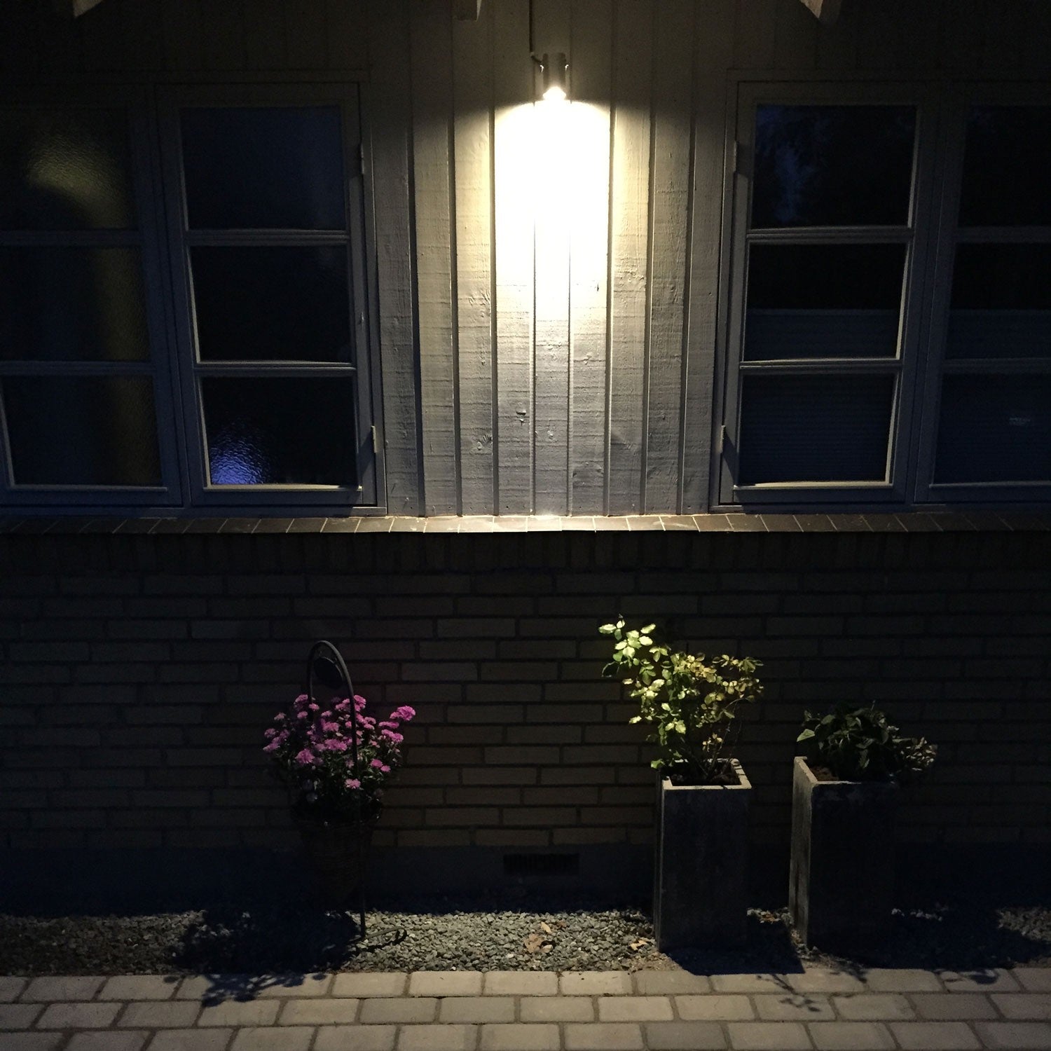 Luna garden spot Black