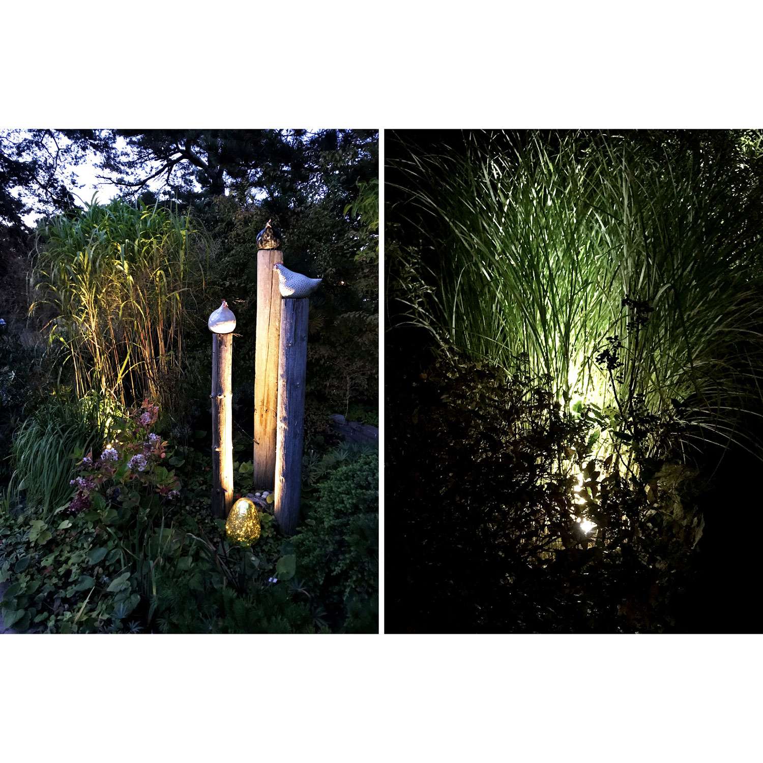 Luna garden spot Black