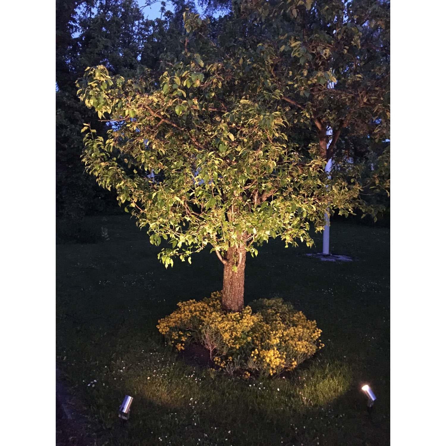 Luna garden spot Silver