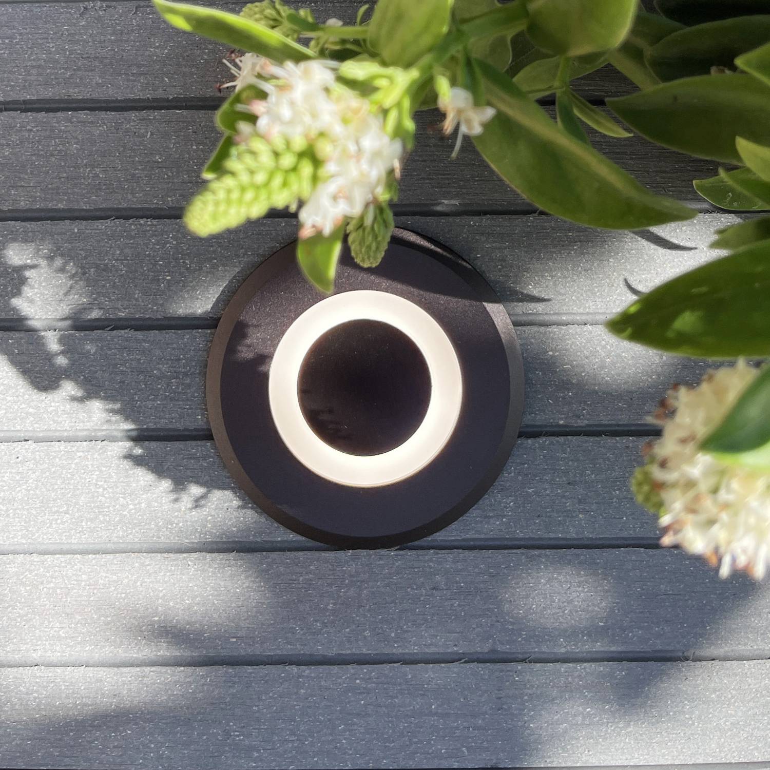 Lynx Decklight Dark grey