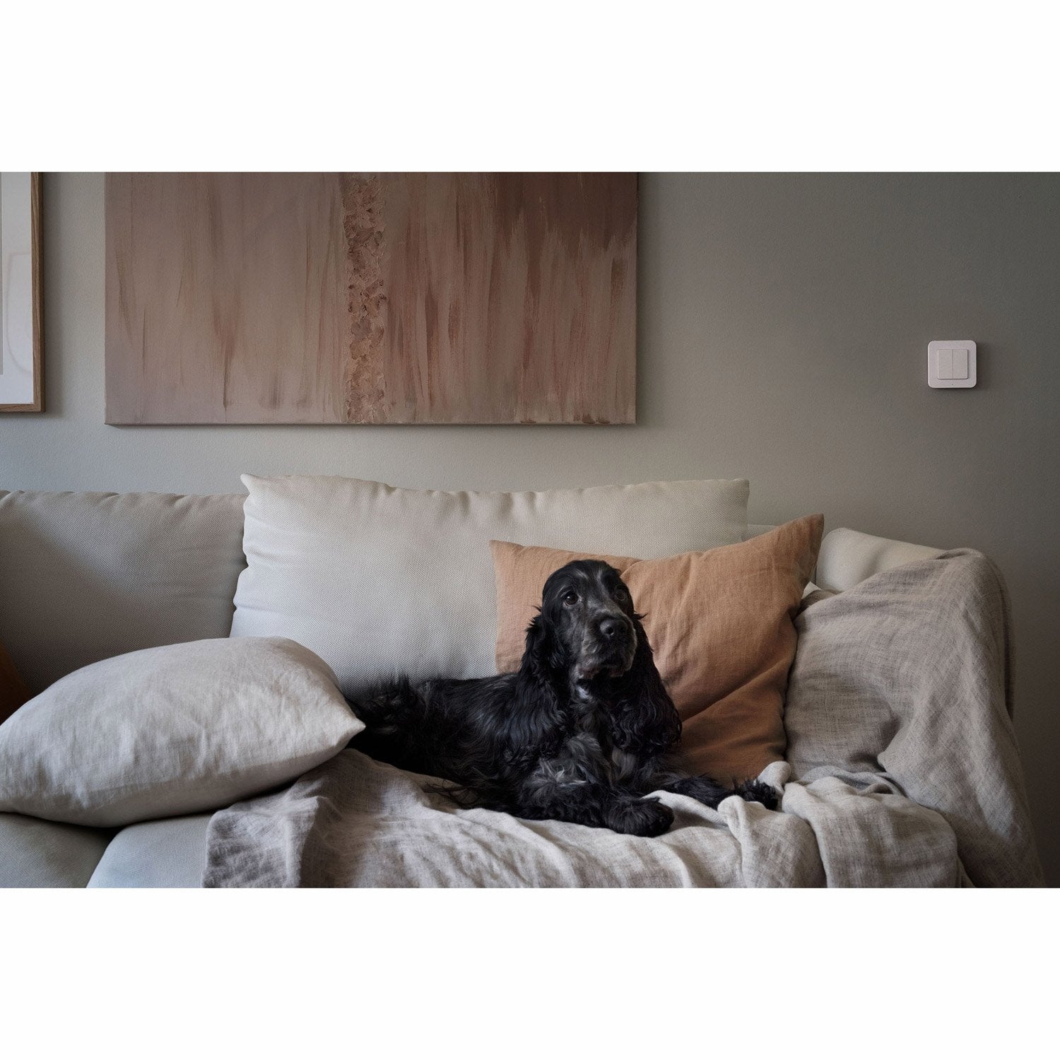 MWST-1812 Wall transmitter 2 channels