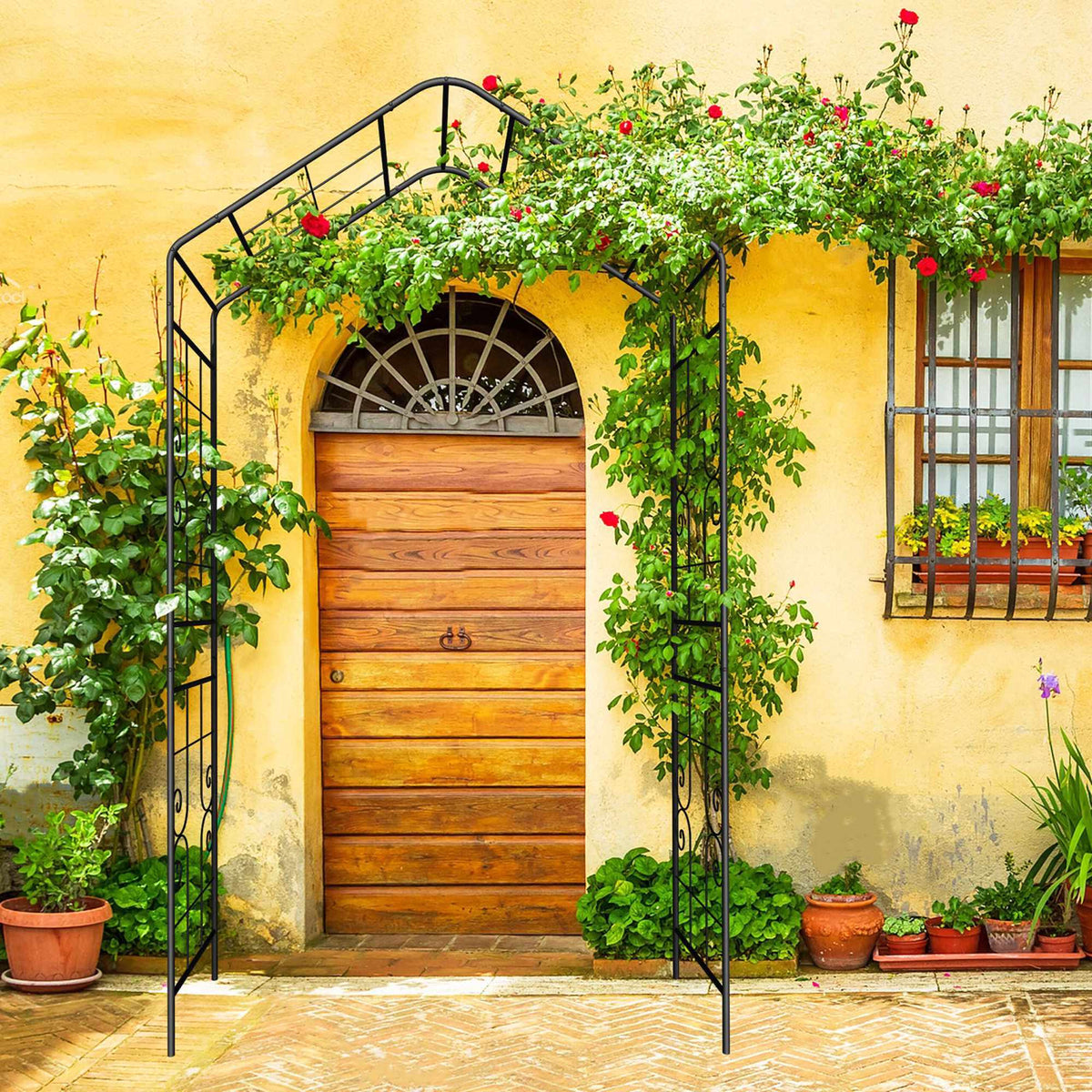 Metal Garden Arch Trellis for Climbing Plants