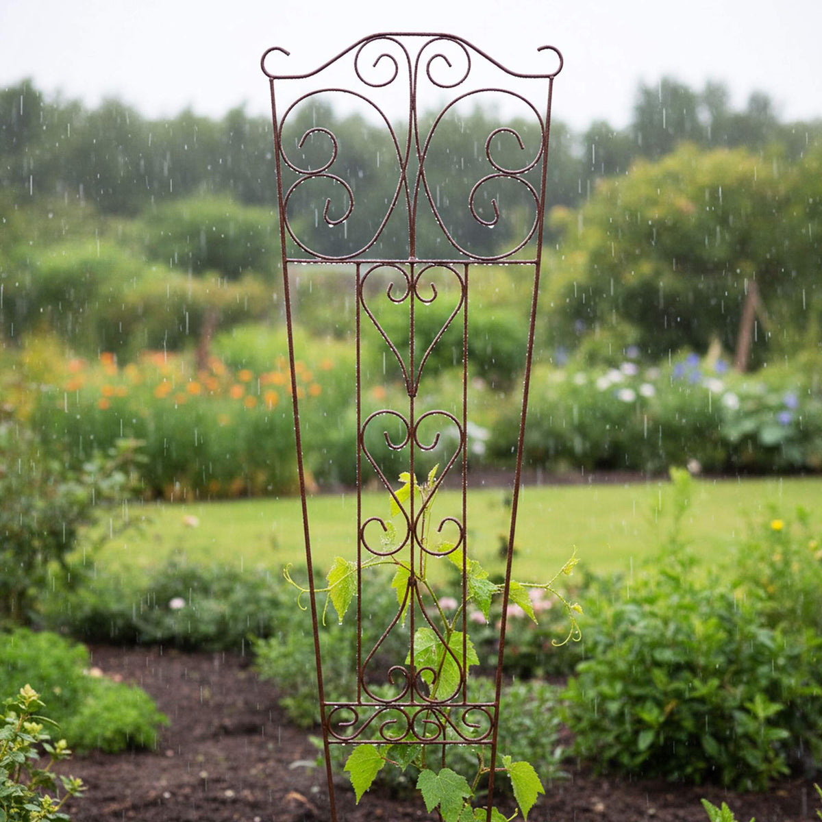 Metal Garden Trellis for Climbing Plants, Curved Design