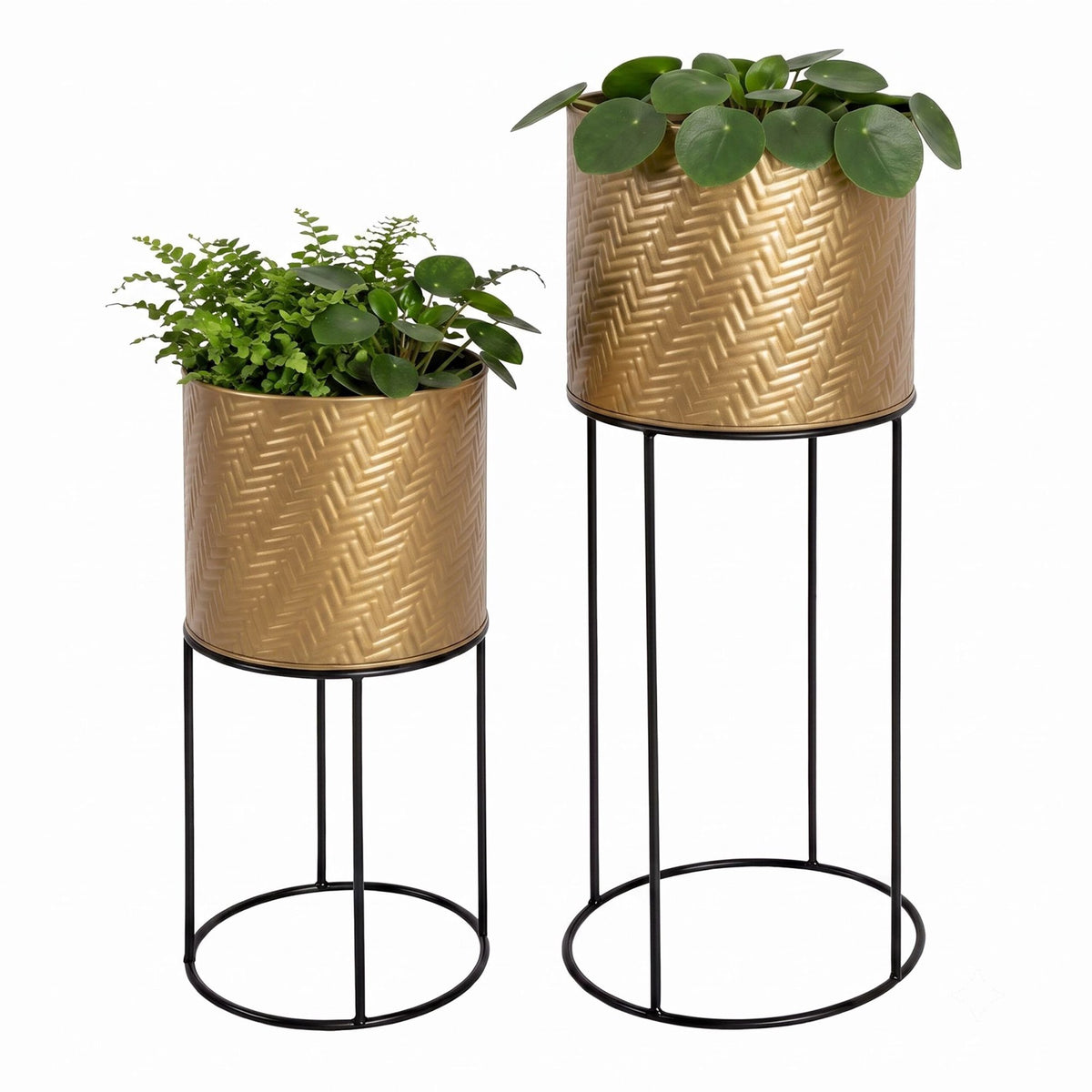 Metal Plant Stand Set of 2, Black-Gold, Galvanised Iron