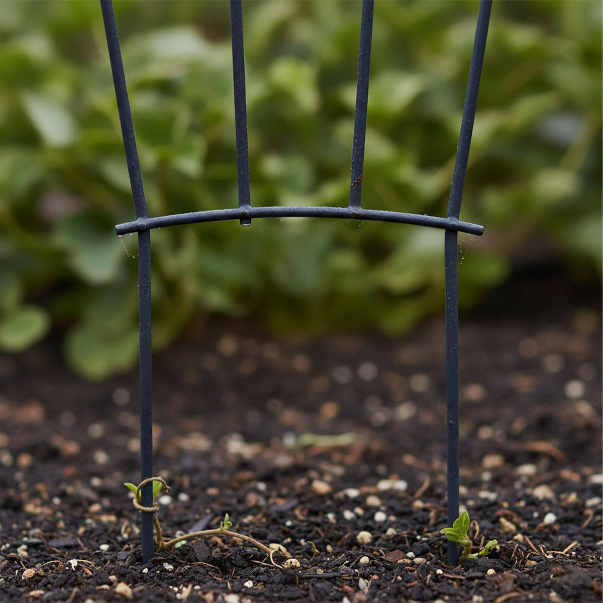 Metal Plant Trellis Set, 4-Pack – Indoor/Outdoor Use