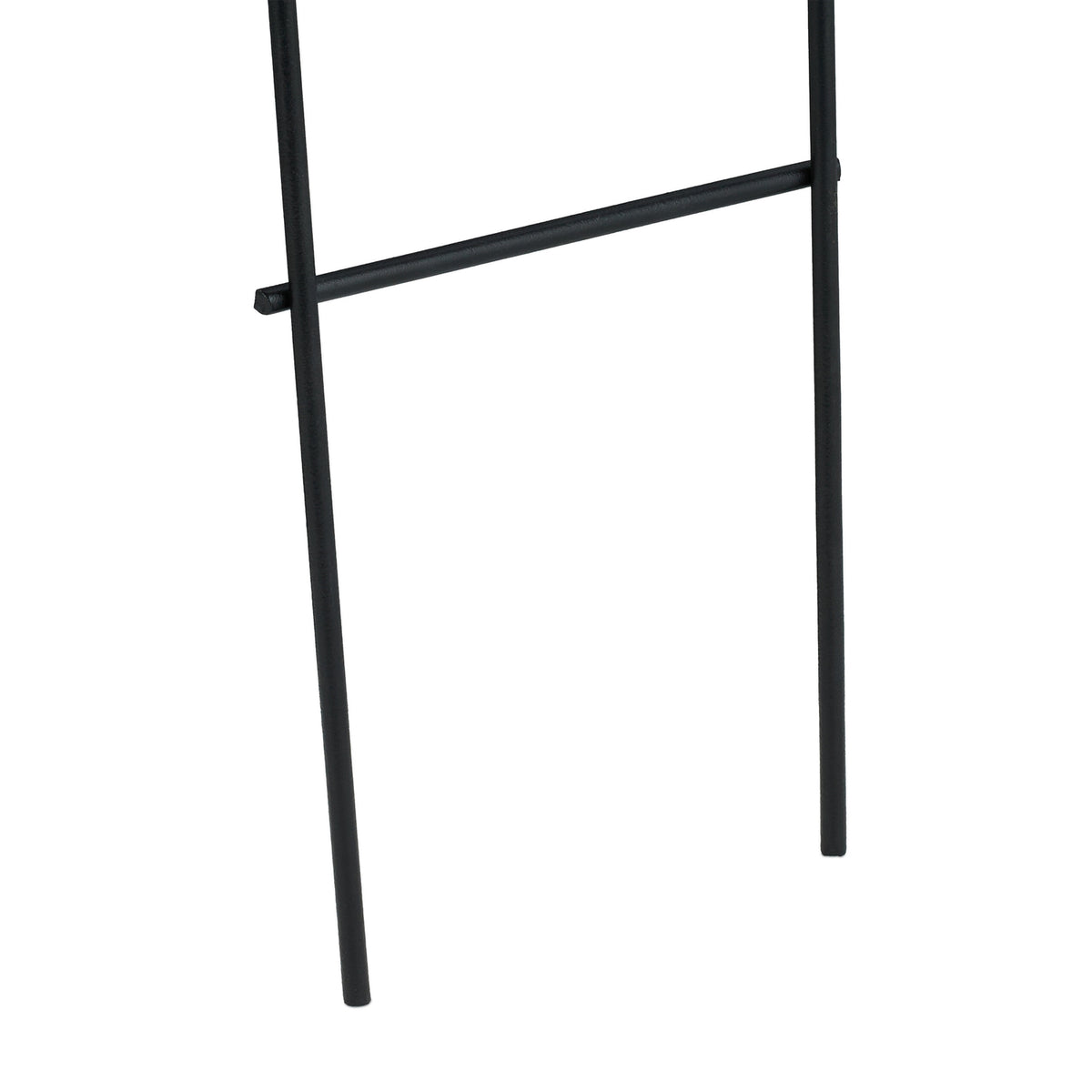 Metal Plant Trellis Set – Durable Climbing Supports