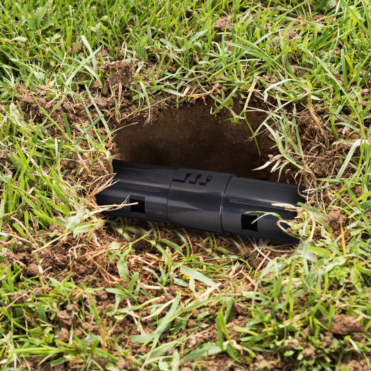 Mole trap live trap set of 2