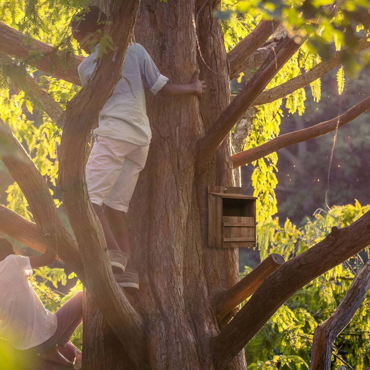 Nesting box for birds that nest in semi-cavities