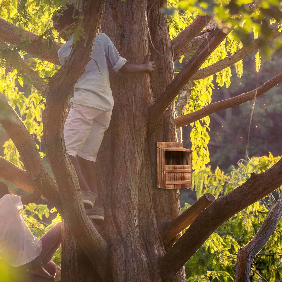 Nesting box for birds that nest in semi-cavities