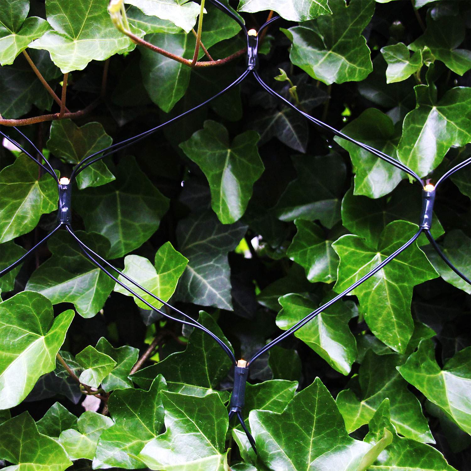 Net Light net 2x1.5m with 168 light points