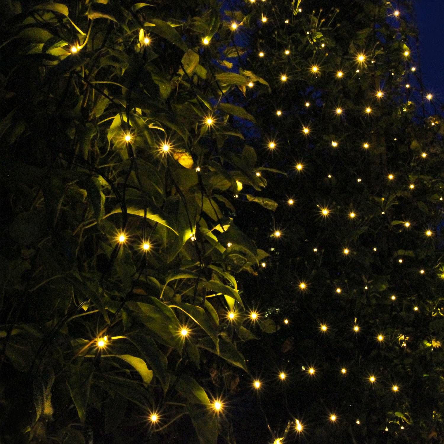 Net Light net 2x1.5m with 168 light points