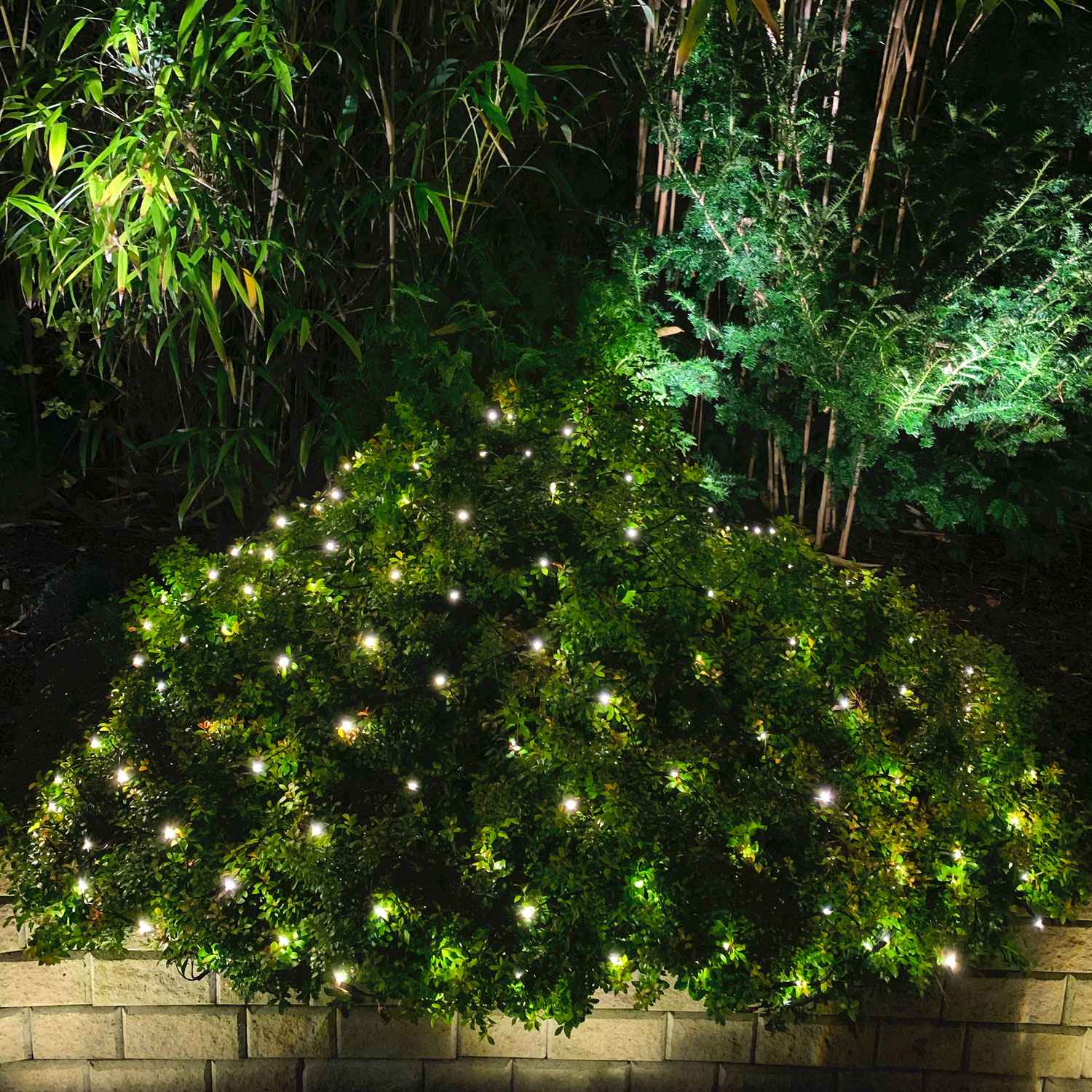 Net Light net 2x1.5m with 168 light points