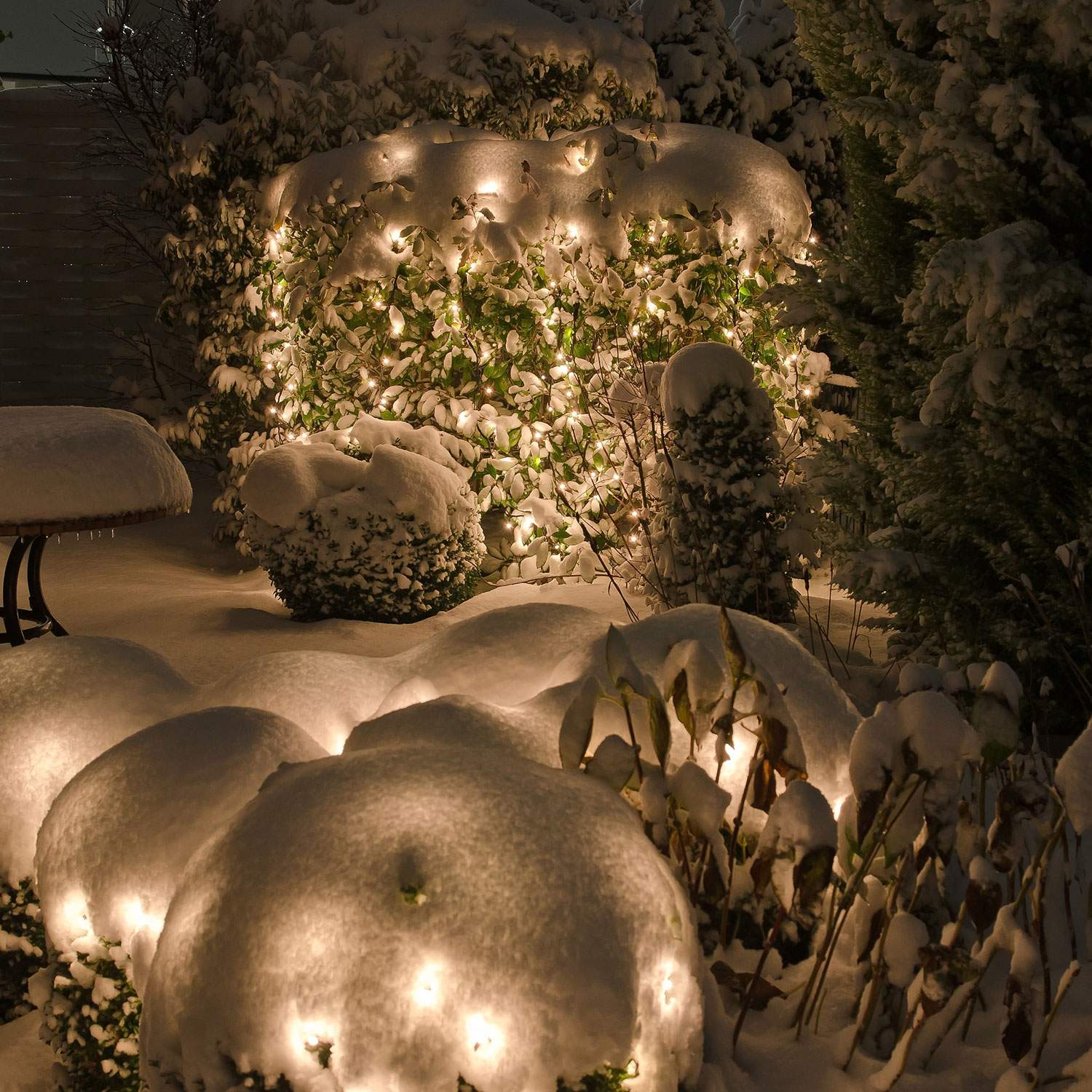 Net Light net 2x1.5m with 168 light points