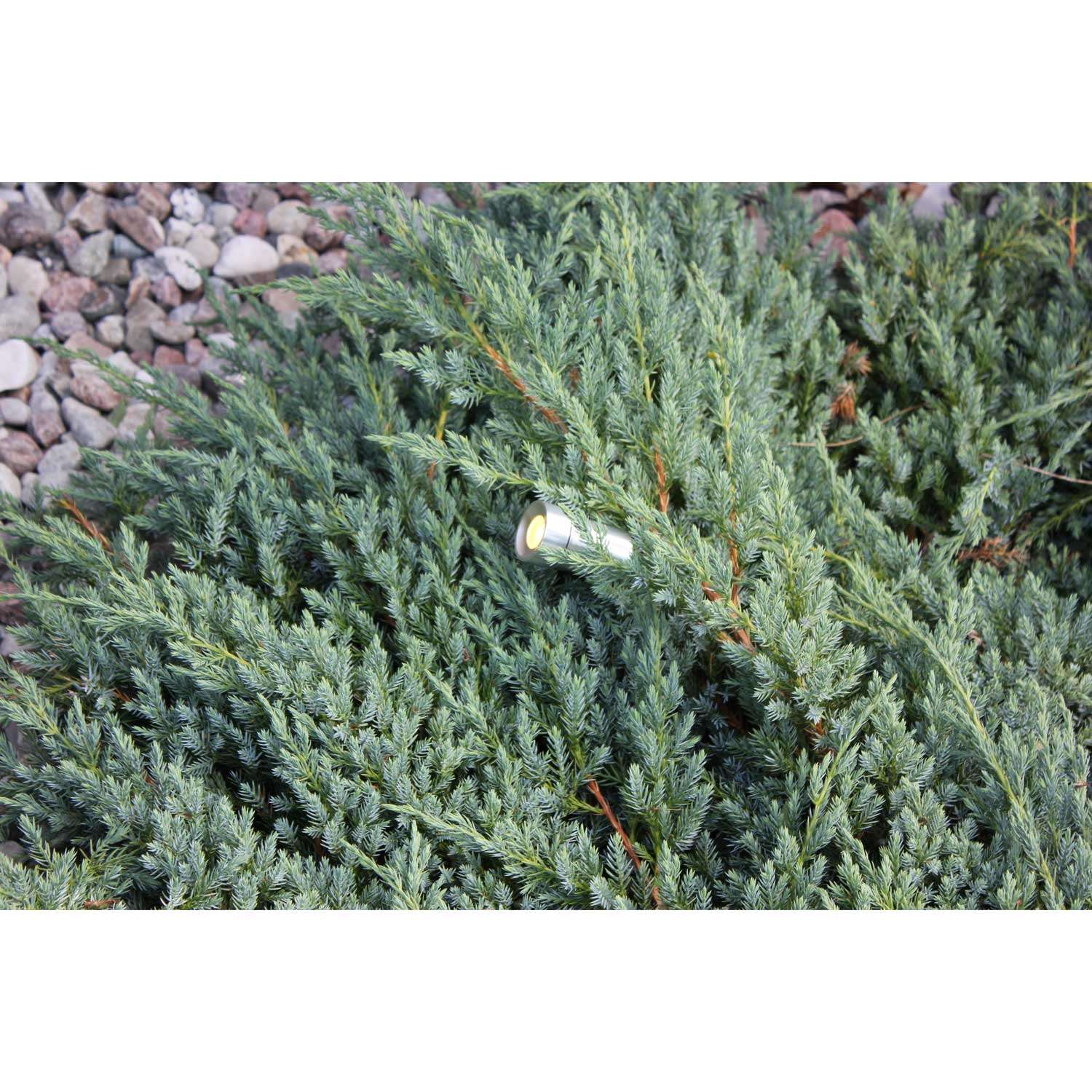 Optica garden spotlight Aluminum