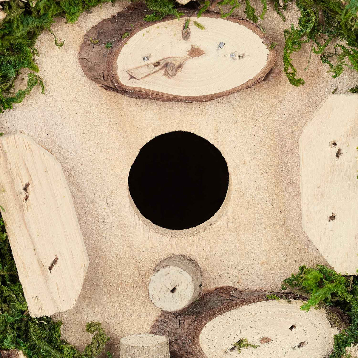 Ornamental box with moss