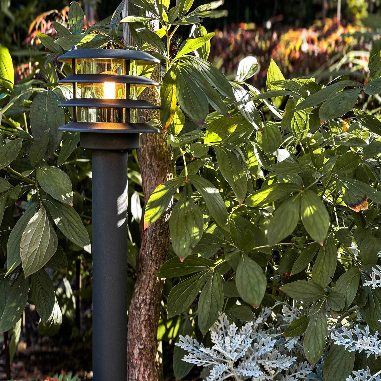Outdoor Bollard Light, 12V 250lm, Dark Gray IP65